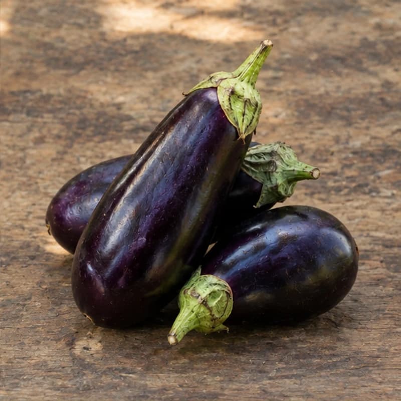 Eggplant