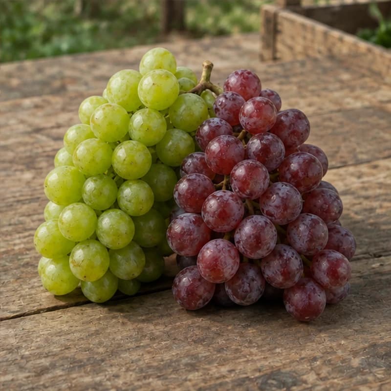 Grapes